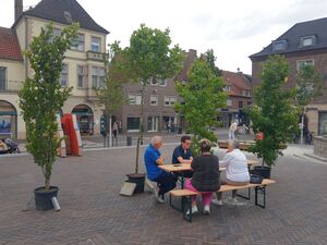 Ein Sitzplatz im Grünen: Mit mobilen Bäumen will die SPD den Marktplatz aufwerten.